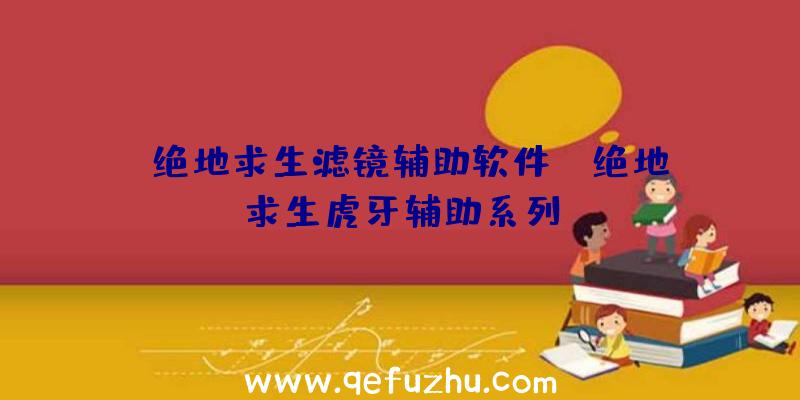 「绝地求生滤镜辅助软件」|绝地求生虎牙辅助系列